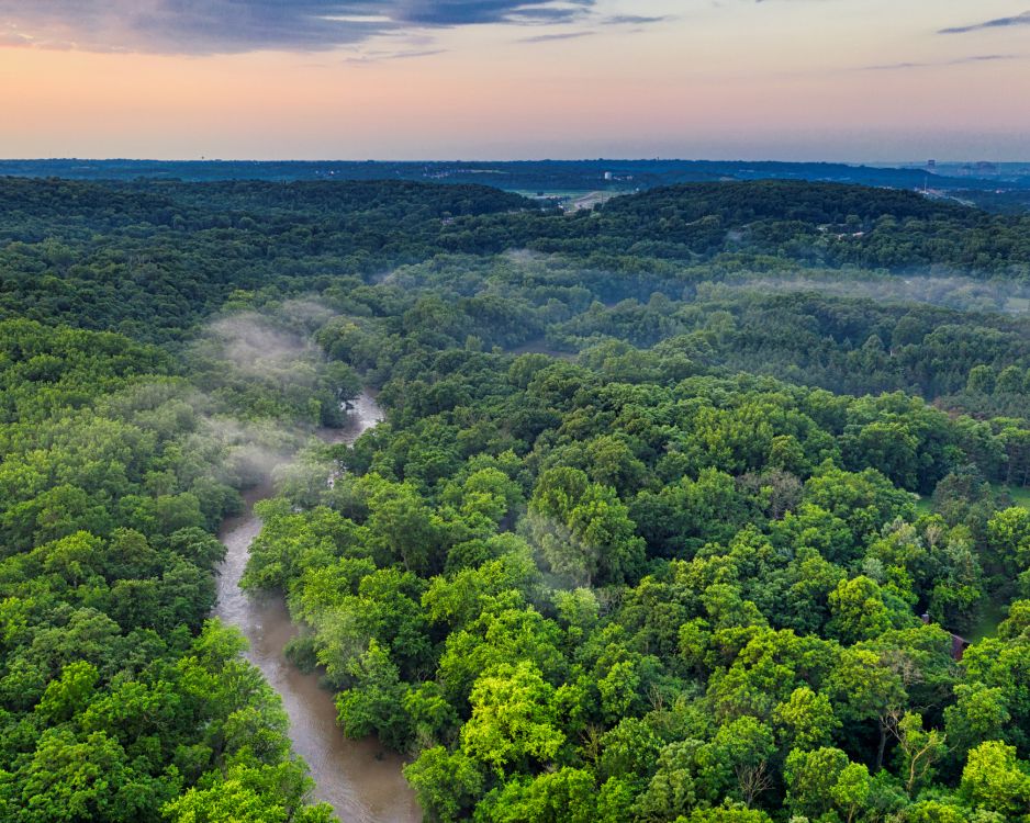 An aerial view of a green forest at sunset